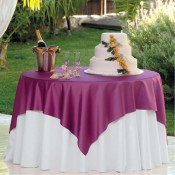 Satin Silvana