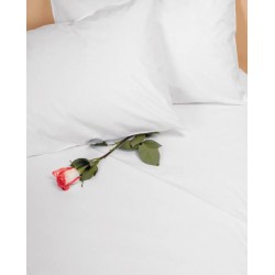 Percale 280-COT 100% Cotton